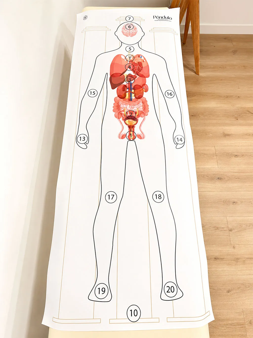 silueta hombre organos pendulo hebreo