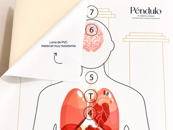 silueta organos hombre escuela internacional de pendulo hebreo