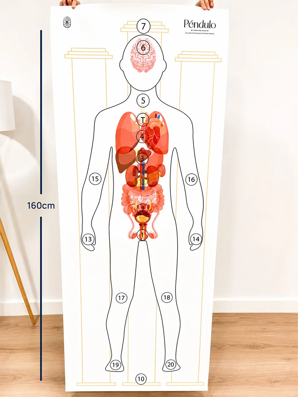 silueta pendulo hebreo hombre organos