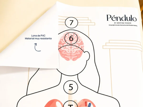 tratar con pendulo hebreo silueta organos mujer