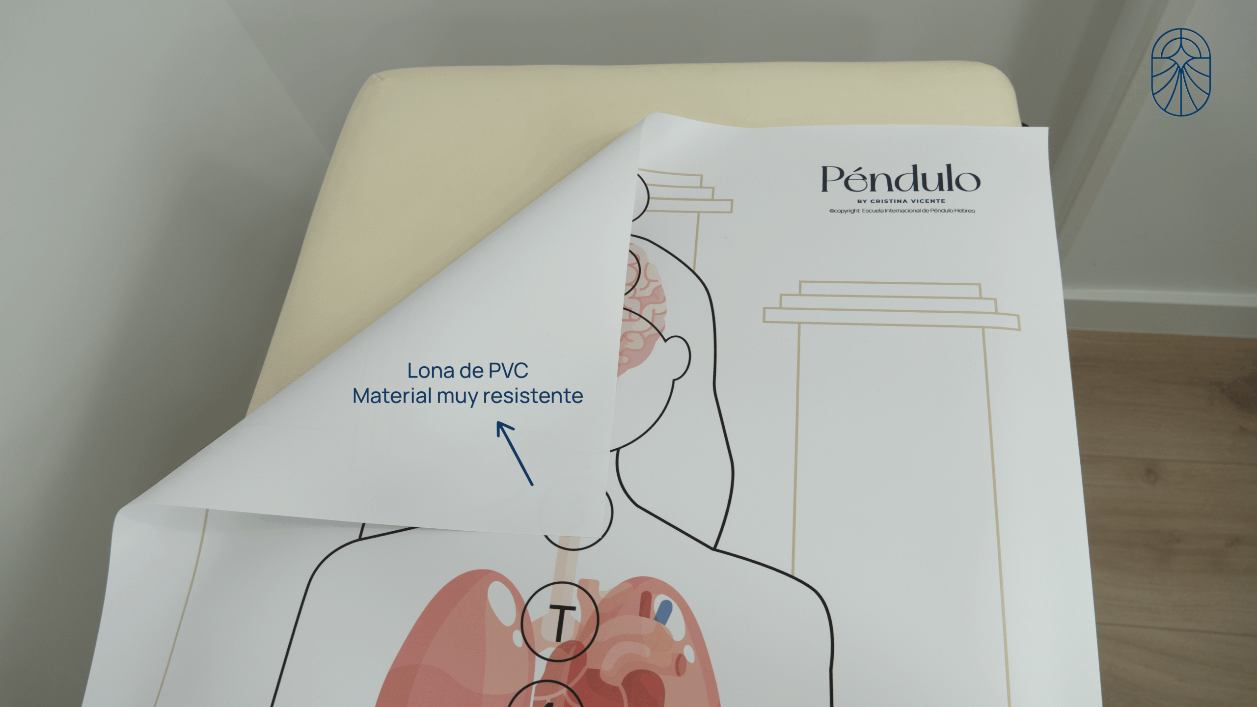 Silueta con órganos - Mujer - Tamaño real: 160x65cm