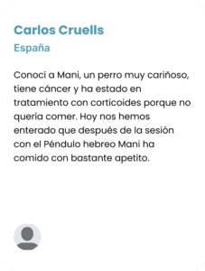 Testimonio-22-227x300