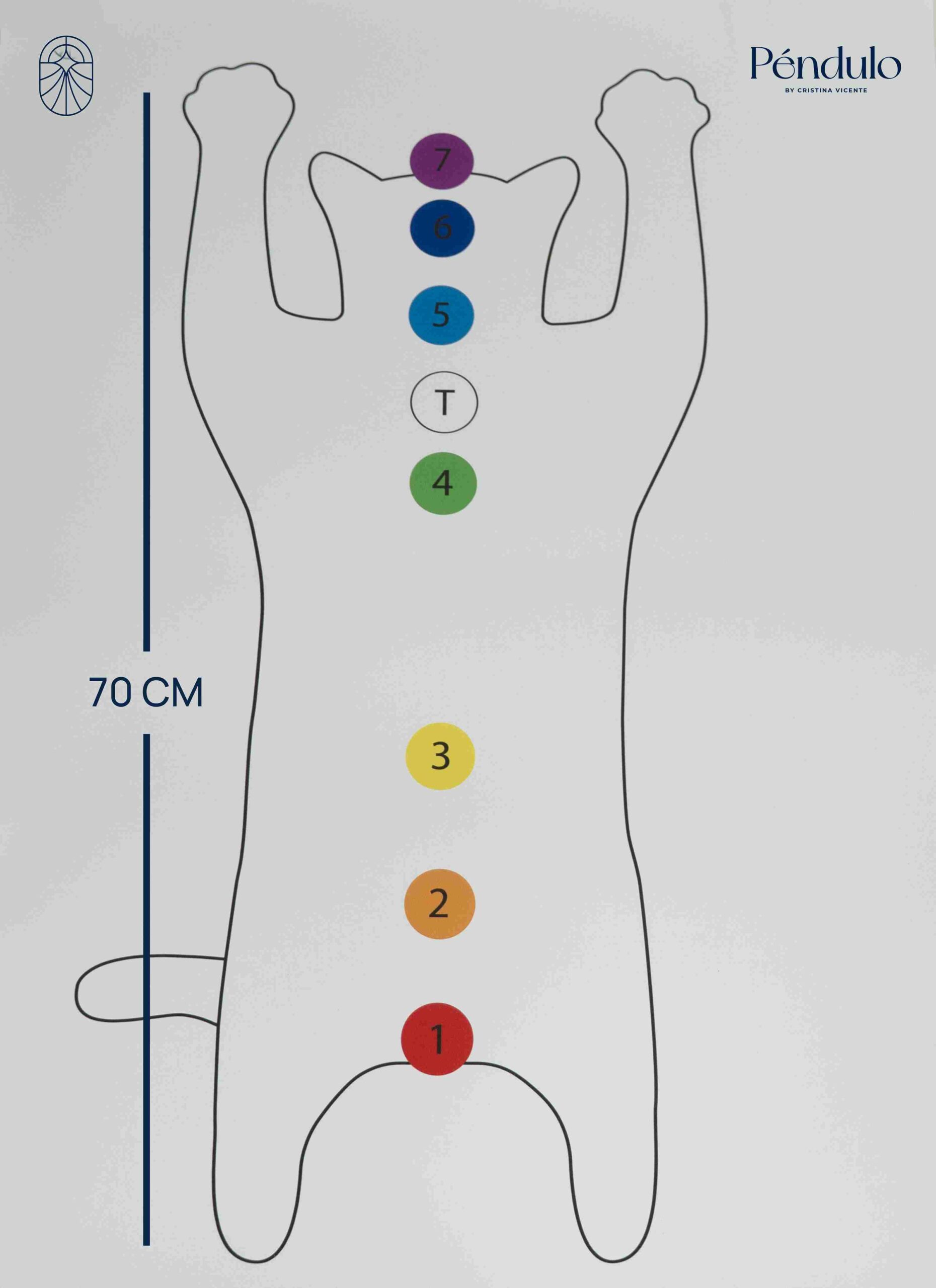 Silueta - Gato - 70x50 - Imagen 2