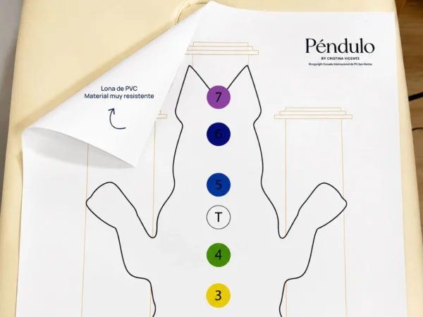 Silueta Perro - Chakras, Órganos y Pilares