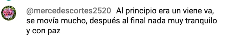 comentario 9